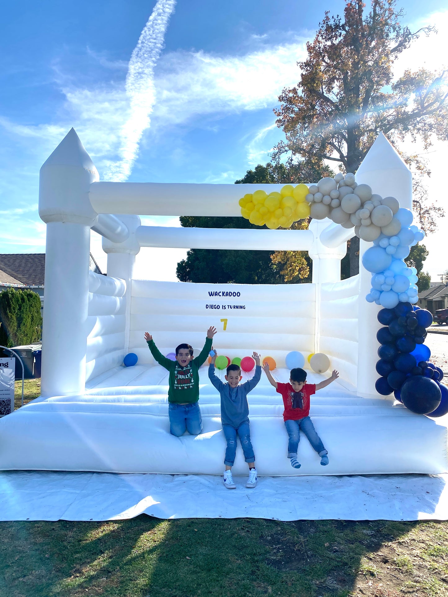 Bunny Castle (15x15ft.) - $400